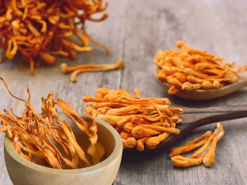 Đông trùng hạ thảo