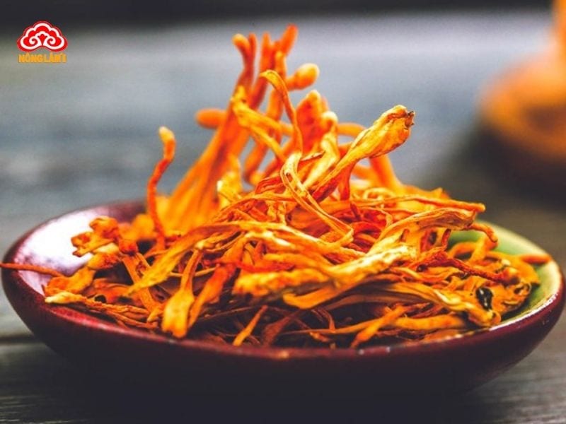 Đông trùng hạ thảo là một loại nấm dược liệu ký sinh trên ấu trùng
