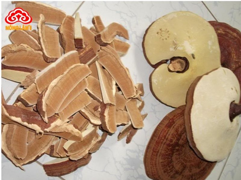 Nấm linh chi thái lát