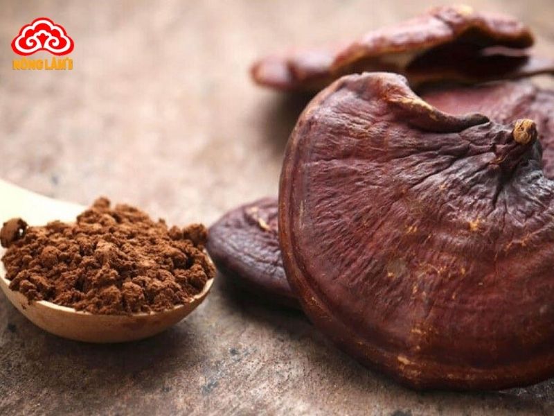 Nấm linh chi dạng bột