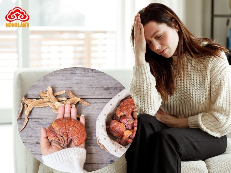 Tác Dụng Nấm Linh Chi Với Hội Chứng Mệt Mỏi Mãn Tính 12 Lưu ý khi dùng nấm linh chi chữa mệt mỏi mãn tính