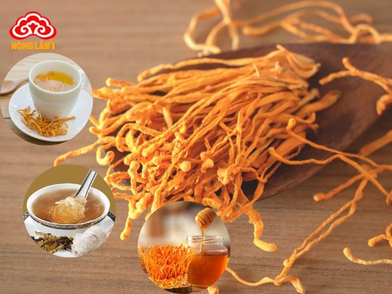 Đông Trùng Hạ Thảo Giúp Ăn Ngủ Ngon 11 Sử dụng đông trùng hạ thảo đúng cách, an toàn hiệu quả
