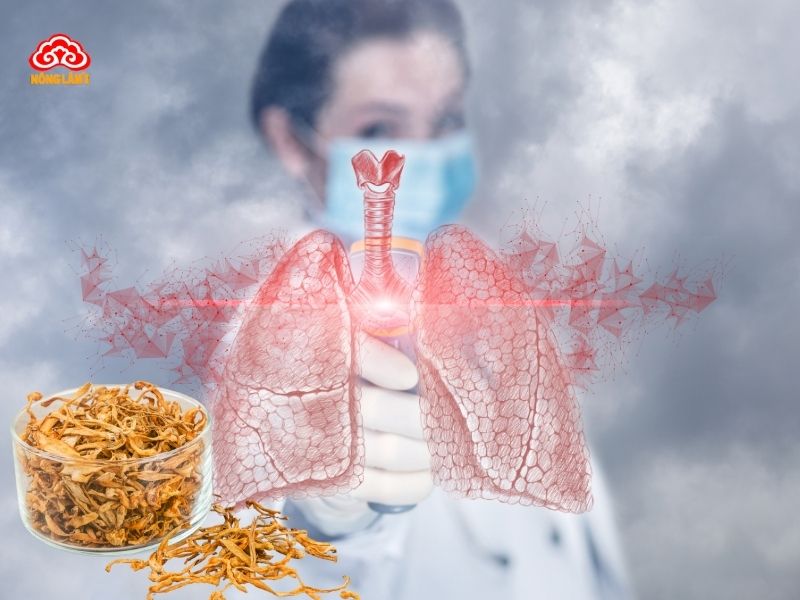 Người Bị Ung Phổi Có Dùng Đông Trùng Hạ Thảo Được Không? 10 Lưu ý khi dùng đông trùng hạ thảo với bệnh nhân ung thư phổi