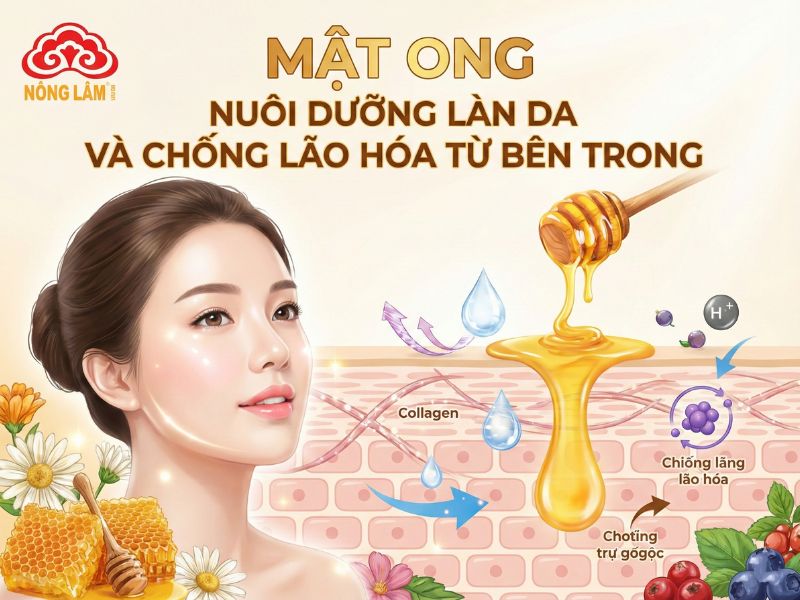 Uống Mật Ong Mỗi Ngày Sẽ Như Thế Nào? 11 Mật ong nuôi dưỡng làn da và chống lão hóa từ bên trong