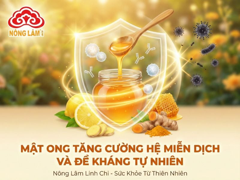 Uống Mật Ong Mỗi Ngày Sẽ Như Thế Nào? 10 Mật ong tăng cường hệ miễn dịch và đề kháng tự nhiên