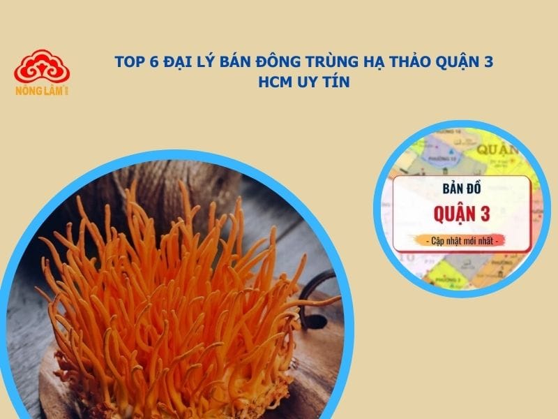 mua đông trùng hạ thảo quận 3