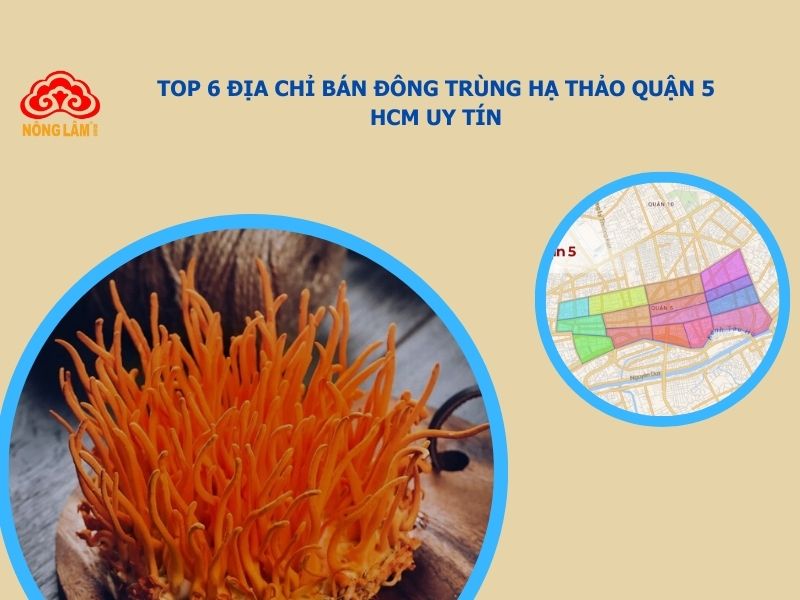 mua đông trùng hạ thảo quận 5