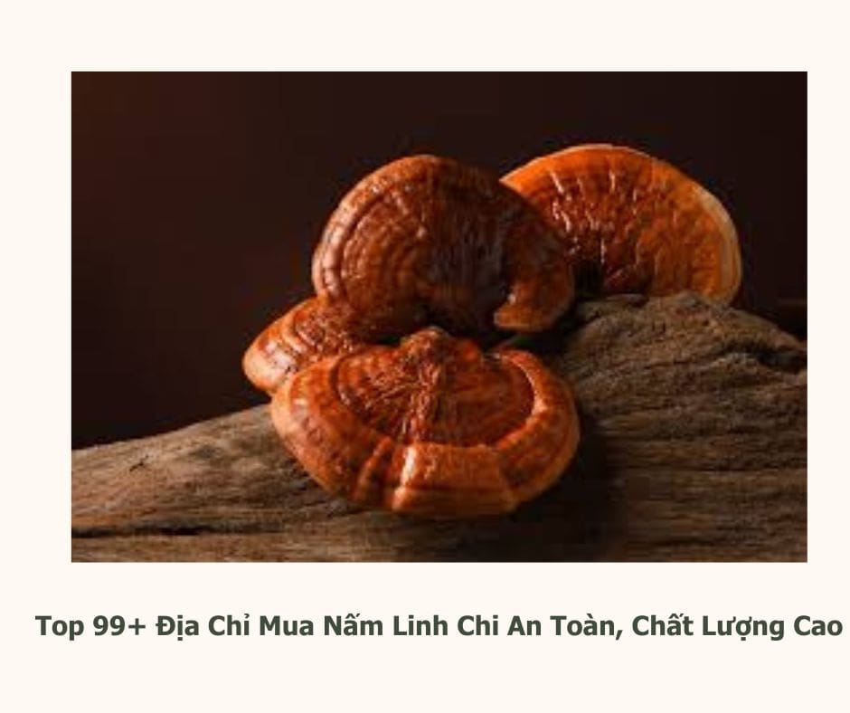 chọn mua nấm linh chi