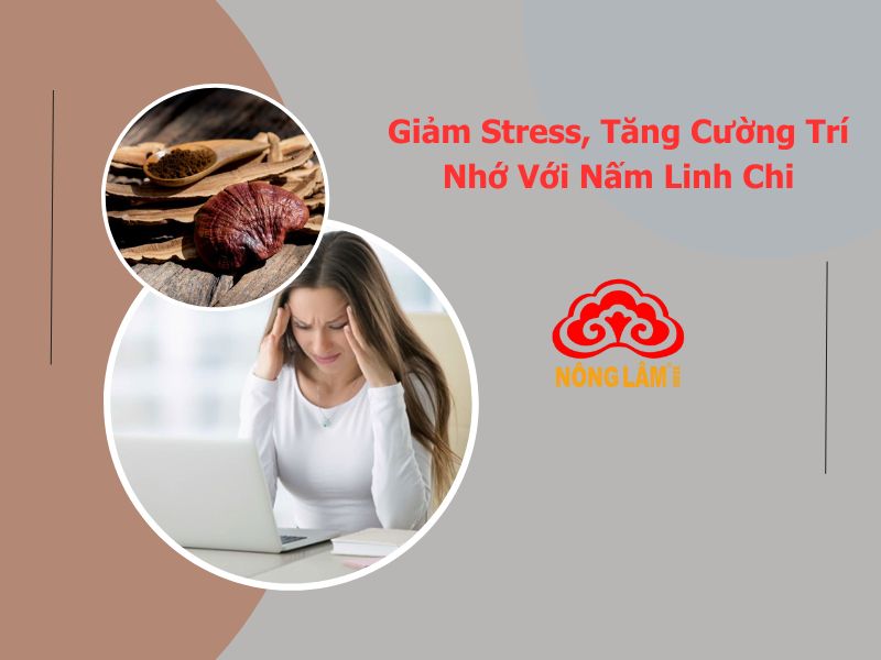 giảm stress với nấm linh chi