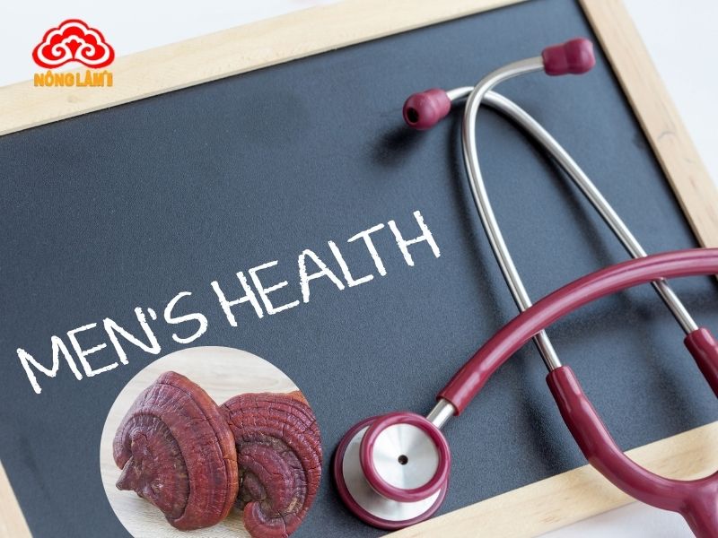 Tác Dụng Bất Ngờ Của Nấm Linh Chi Cho Quý Ông 8 Nấm linh chi mang đến nhiều lợi ích với sức khỏe của nam giới