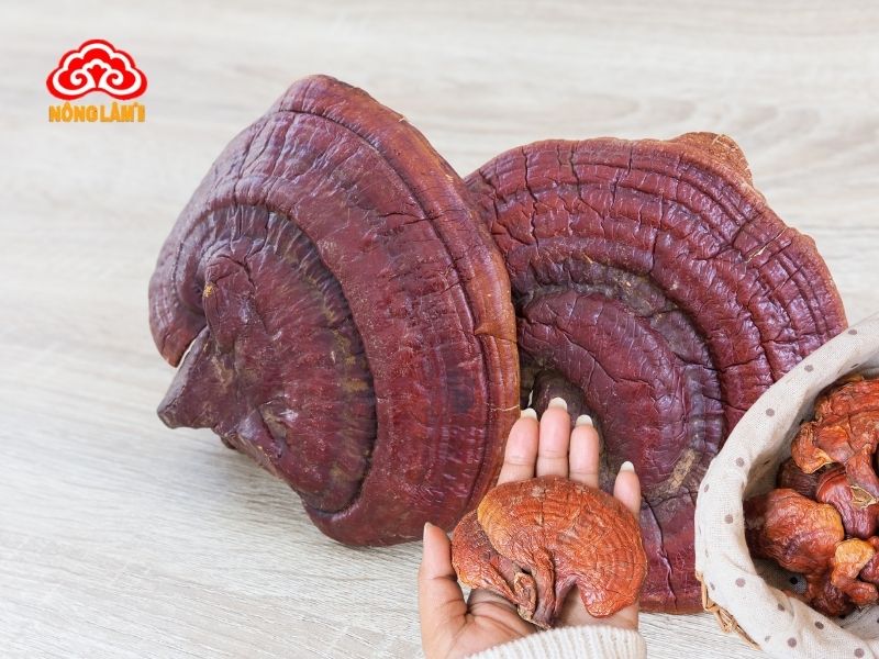 Tác Dụng Bất Ngờ Của Nấm Linh Chi Cho Quý Ông 7 Nấm linh chi chứa hơn 400 hợp chất hoạt tính sinh học khác nhau,