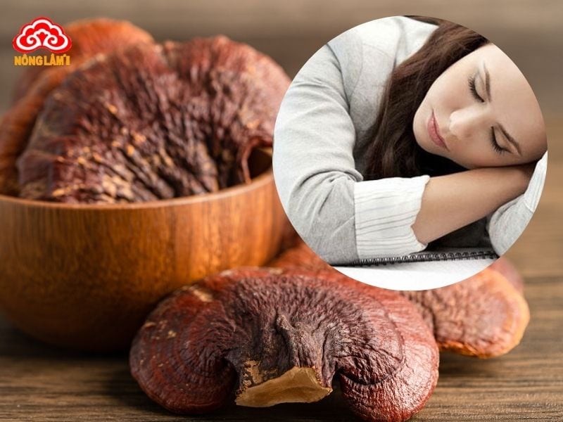 Tác Dụng Nấm Linh Chi Với Hội Chứng Mệt Mỏi Mãn Tính 10 Nấm linh chi giúp hỗ trợ điều trị mệt mỏi mãn tính hiệu quả