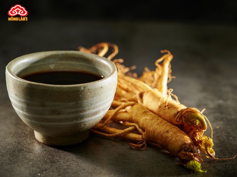 Top 10 Thảo Dược Giúp Tăng Cường Hệ Miễn Dịch Hiệu Quả 21 Nhân sâm