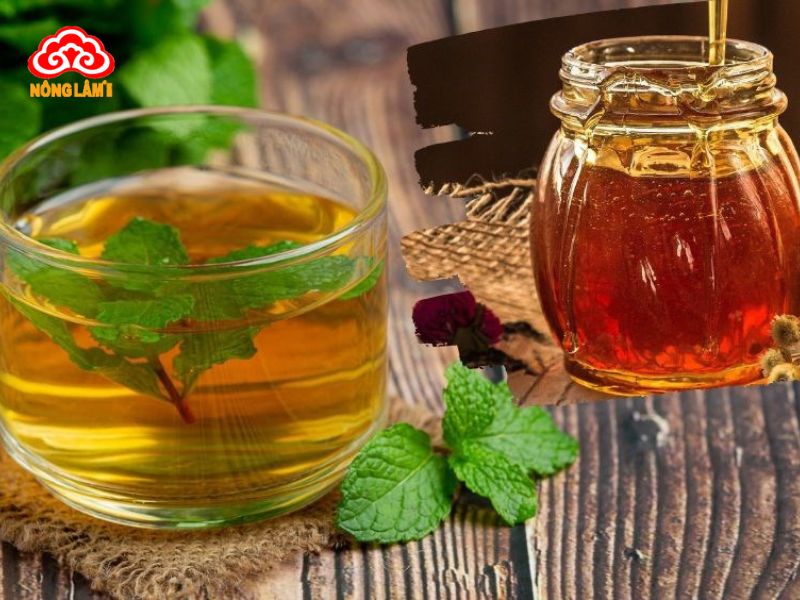 Trà Nấm Linh Chi: Lợi Ích &Amp; Cách Pha Chuẩn 13 Trà nấm linh chi mật ong và bạc hà