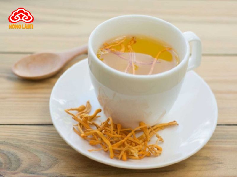 Trà Nấm Linh Chi: Lợi Ích &Amp; Cách Pha Chuẩn 18 Trà nấm linh chi đông trùng hạ thảo