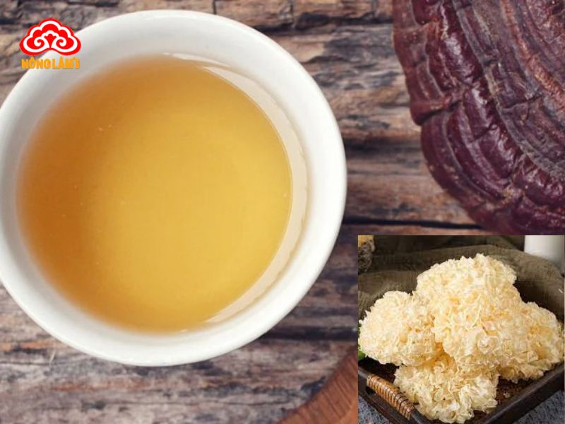 Trà Nấm Linh Chi: Lợi Ích &Amp; Cách Pha Chuẩn 17 Trà nấm linh chi ngân nhĩ