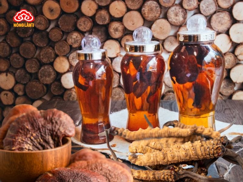 Ngâm rượu đông trùng hạ thảo, nấm linh chi