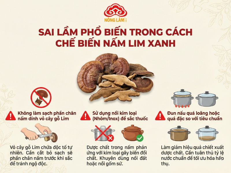 Lưu Ý Khi Uống Nấm Lim Xanh Để Đảm Bảo An Toàn, Hiệu Quả 10 Sai lầm khi chế biến nấm lim xanh