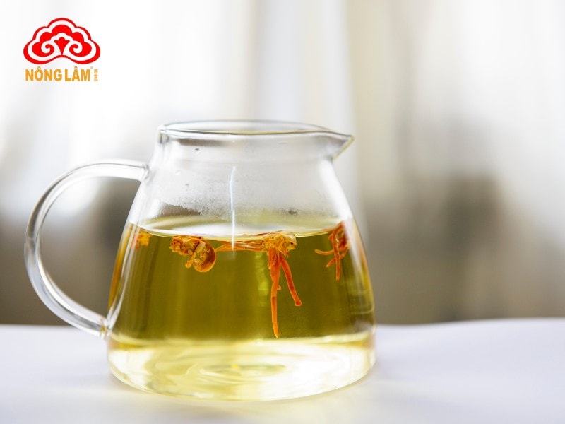 Đông Trùng Hạ Thảo Là Cây Hay Con? 12 Phương pháp sử dụng đông trùng hạ thảo phổ biến và hiệu quả là pha trà