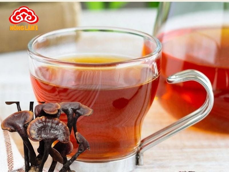 Tác Dụng Của Nấm Lim Xanh Với Bệnh Gan Nhiễm Mỡ 10 Sử dụng nấm lim xanh cho bệnh nhân gan nhiễm mỡ