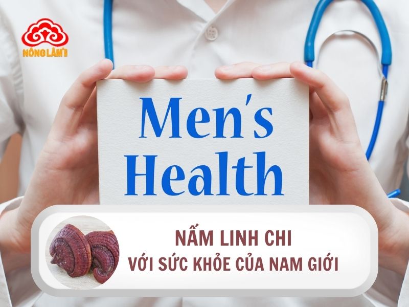 Tác Dụng Bất Ngờ Của Nấm Linh Chi Cho Quý Ông 6 Lợi ích của nấm linh chi với sức khỏe của nam giới