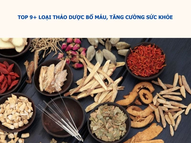 thảo dược bổ máu