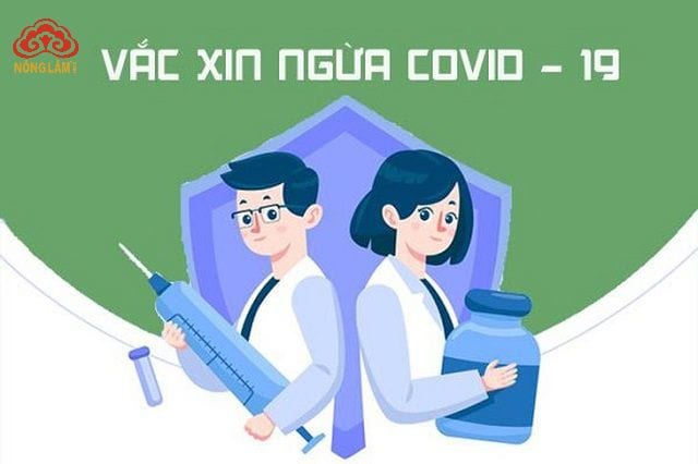 Cách Tăng Cường Miễn Dịch Chống Virus Trong Mùa Dịch Covid-19 6