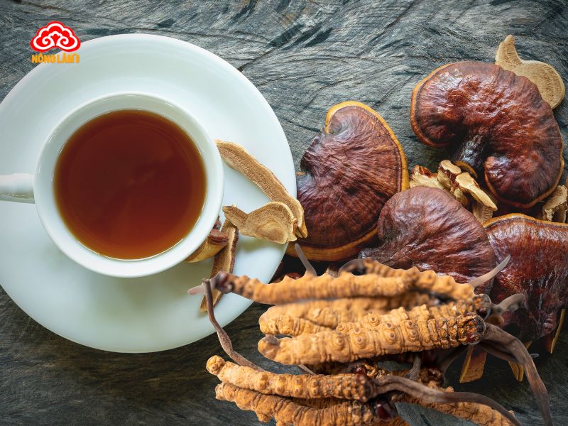 Sắc nước đông trùng hạ thảo, nấm linh chi