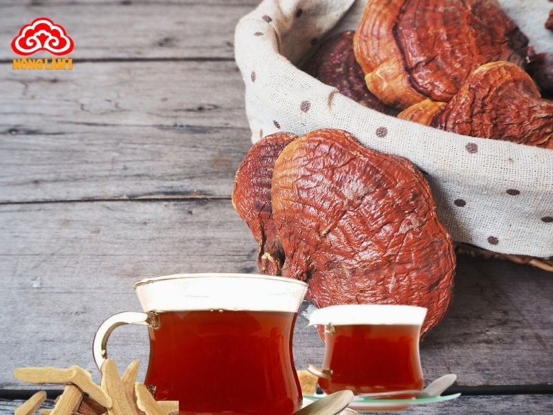 Nước nấm linh chi sử dụng đúng cách mang lại nhiều lợi ích cho sức khỏe