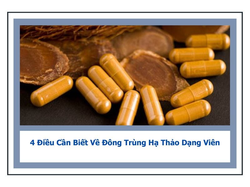 đông trùng hạ thảo dạng viên