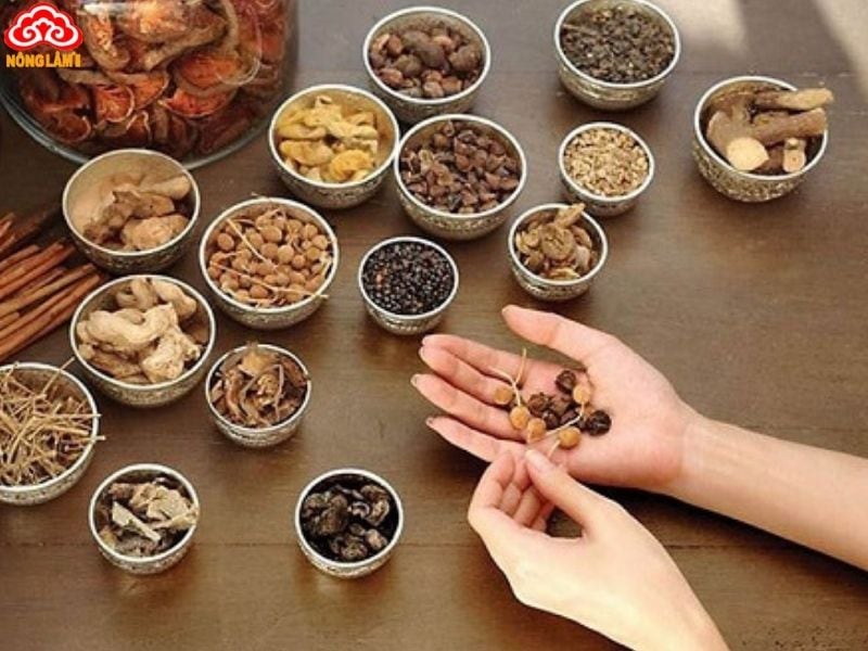 5 Cách Sử Dụng Nấm Linh Chi Đỏ Nguyên Tai Hiệu Quả Nhất 15 Nấm linh chi đỏ nguyên tai được sử dụng nhiều trong các bài thuốc đông y