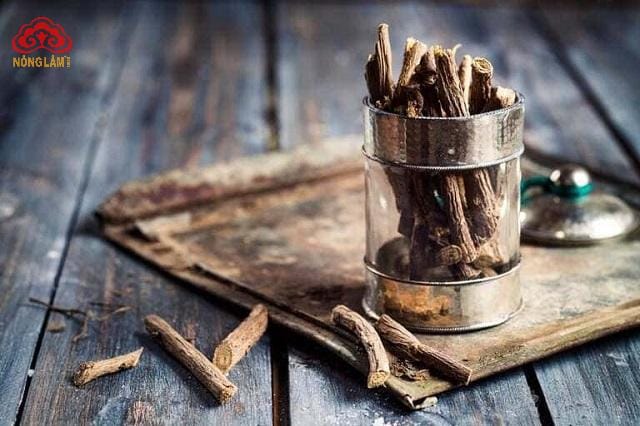 Nấm Linh Chi Có Thể Sử Dụng Kết Hợp Với Những Loại Thảo Dược Nào? 13 Cam thảo