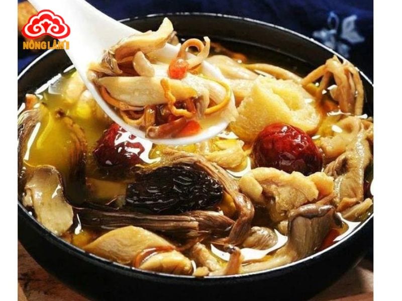 Bài Thuốc Từ Món Ăn Với Đông Trùng Hạ Thảo 12 Canh đông trùng hạ thảo nấu sâm