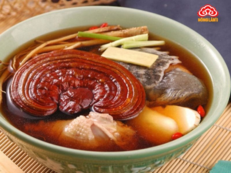 5 Cách Sử Dụng Nấm Linh Chi Đỏ Nguyên Tai Hiệu Quả Nhất 13 Canh nấm linh chi đỏ nguyên tai