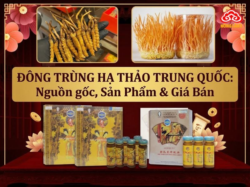 Đông Trùng Hạ Thảo Trung Quốc: Nguồn Gốc, Sản Phẩm &Amp; Giá Bán 8 Tìm hiểu về đông trùng hạ thảo trung quốc