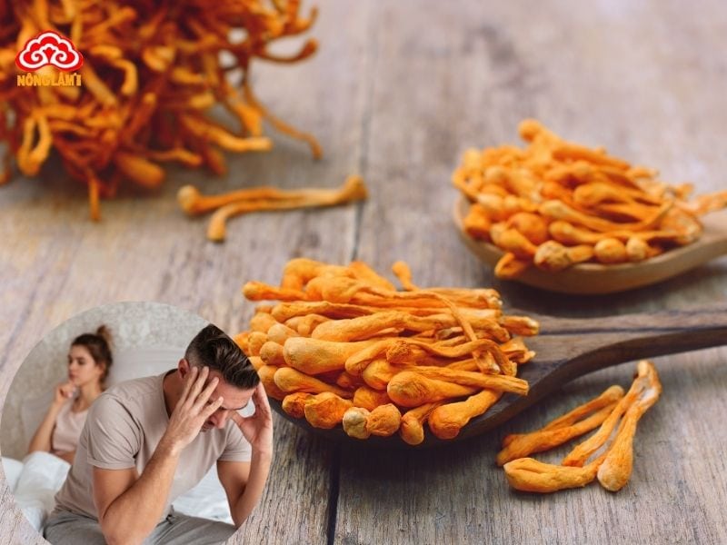 Đông Trùng Hạ Thảo Hỗ Trợ Điều Trị Xuất Tinh Sớm Toàn Diện 9 Đông trùng hạ thảo giúp chữa xuất tinh sớm an toàn