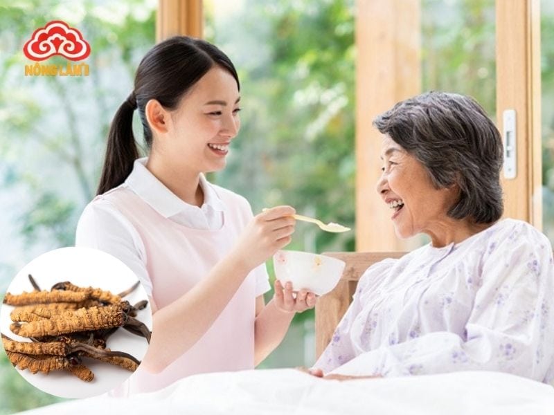 Đông Trùng Hạ Thảo Giúp Ăn Ngủ Ngon 10 Đông trung hạ thảo giúp ăn ngon