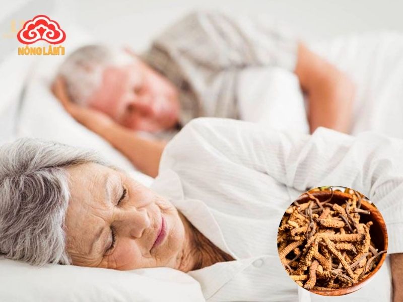 Đông Trùng Hạ Thảo Giúp Ăn Ngủ Ngon 9 Đông trùng hạ thảo giúp ngủ ngon