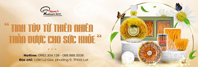 Top 7 Địa Chỉ Bán Đông Trùng Hạ Thảo ở Lâm Đồng Uy Tín 11 Đông trùng hạ thảo Hana Đà Lạt