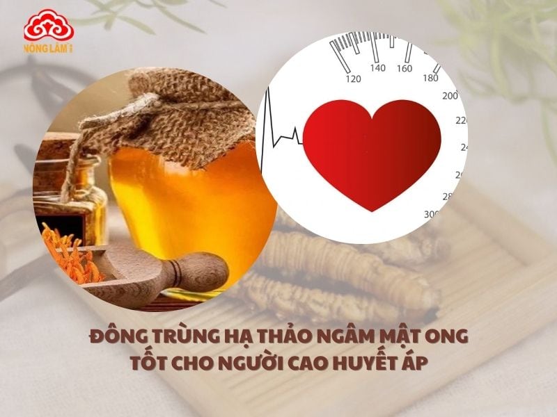 Đông trùng hạ thảo ngâm mật ong - Kết hợp dưỡng chất tối ưu cho người cao huyết áp