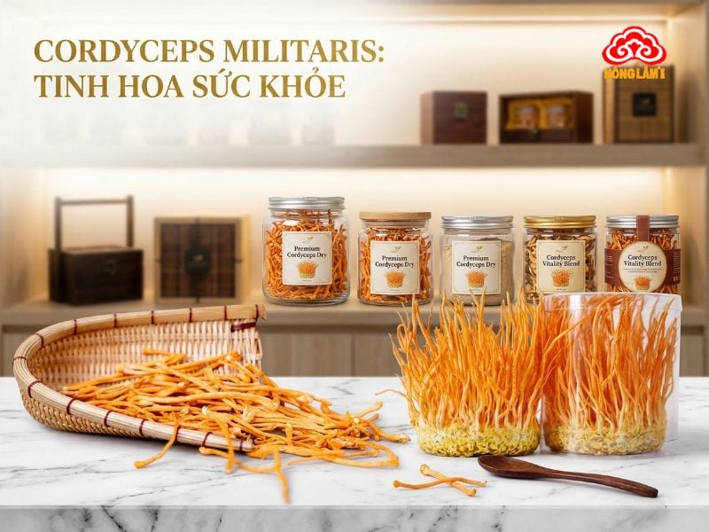 Đông Trùng Hạ Thảo Trung Quốc: Nguồn Gốc, Sản Phẩm &Amp; Giá Bán 11 Đông trùng hạ thảo nuôi cấy trong phòng thí nghiệm