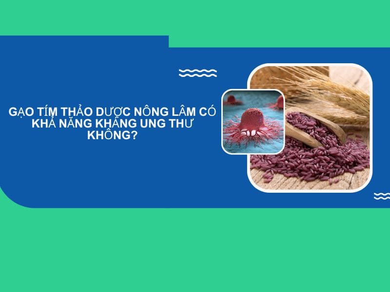 Gạo Tím Thảo Dược Nông Lâm Có Khả Năng Kháng Ung Thư Không? 4 gạo tím thảo dược nông lâm trị ung thư