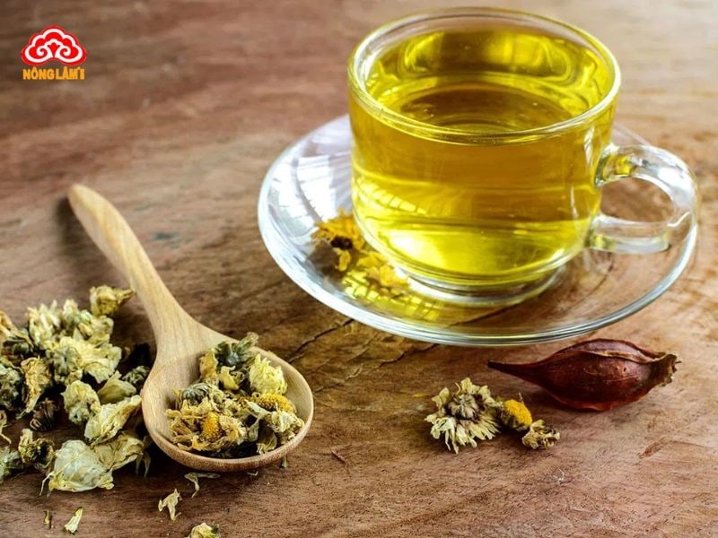 Bí Quyết Giải Độc Gan Bằng Thuốc Nam Hiệu Quả 35 Hoa cúc