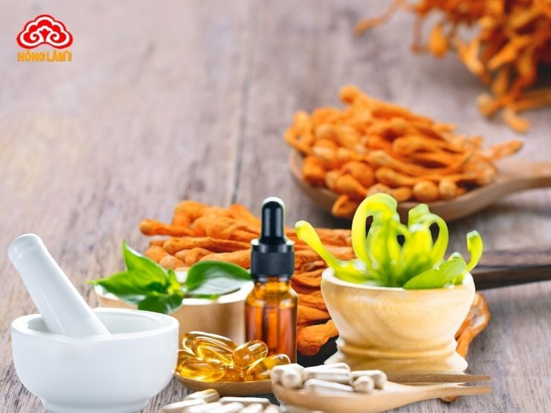 Lợi ích của đông trùng hạ thảo chiết xuất với sức khỏe