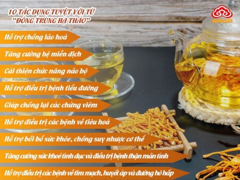 Sử Dụng Đông Trùng Hạ Thảo Liên Tục Có Được Không? 6 Lợi ích của đông trùng hạ thảo với sức khỏe