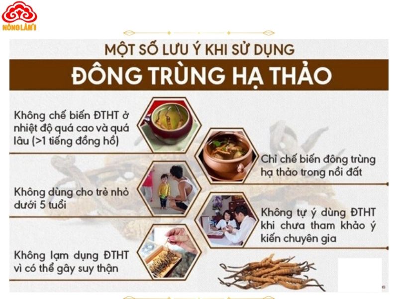 Sử Dụng Đông Trùng Hạ Thảo Liên Tục Có Được Không? 7 Lưu ý quan trọng khi dùng đông trùng hạ thảo tránh tác dụng phụ