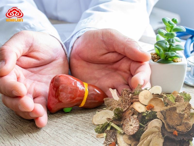 Bí Quyết Giải Độc Gan Bằng Thuốc Nam Hiệu Quả 38 Lưu ý khi giải độc gan bằng thuốc nam