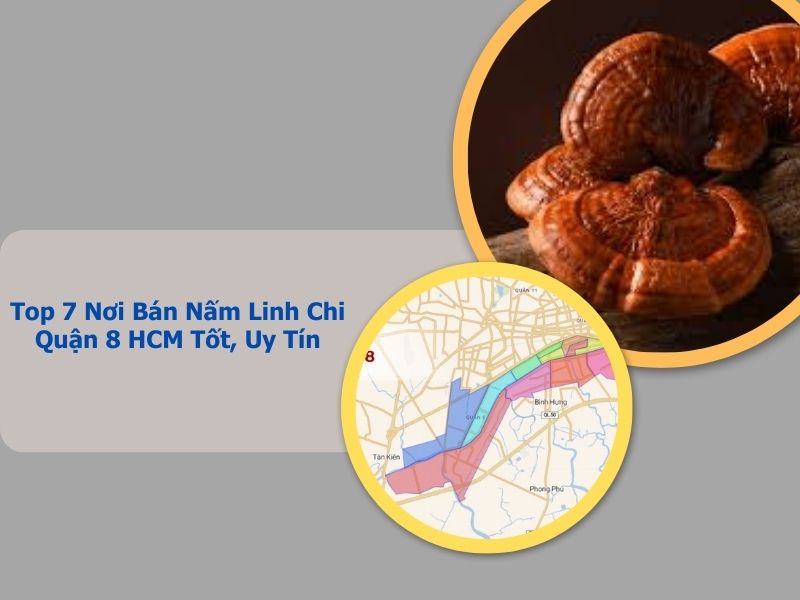 mua nấm linh chi quận 8