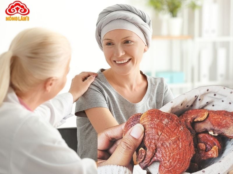 Sau Hóa Trị Ung Thư Có Nên Sử Dụng Nấm Linh Chi Không? 10 Phục hồi sau hóa trị với nấm linh chi