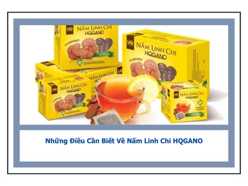 Những Điều Cần Biết Về Nấm Linh Chi HQGANO 4 Nấm linh chi HQGANO